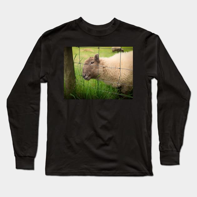 The Smiling Sheep Long Sleeve T-Shirt by RJDowns